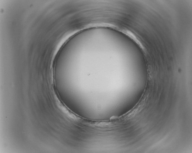 X0000074331140200609152050