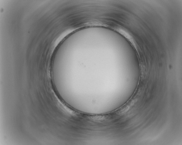 X0000074331141200609152050