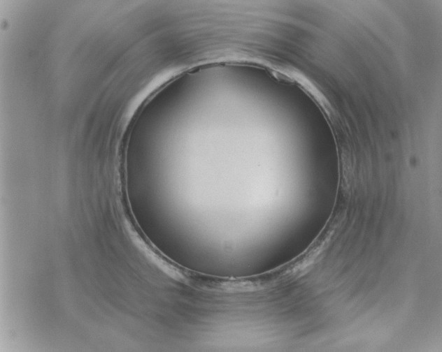 X0000074331142200609152050