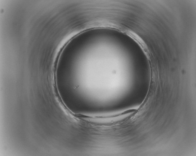 X0000074331144200609152050