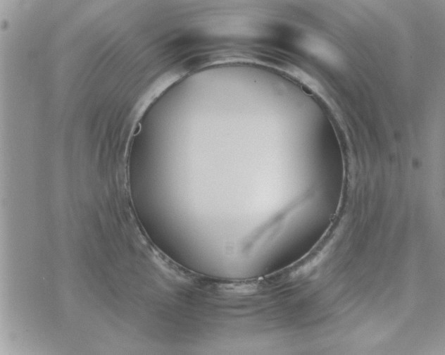 X0000074331145200609152050