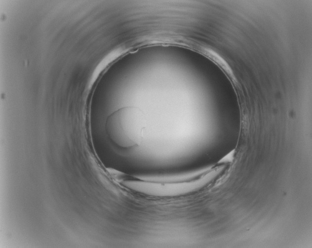 X0000074331146200609152050