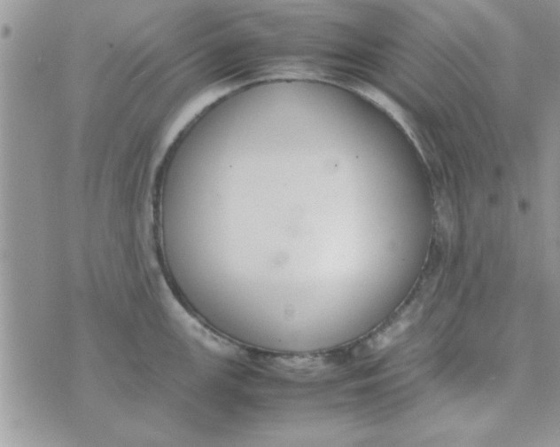 X0000074331147200609152050