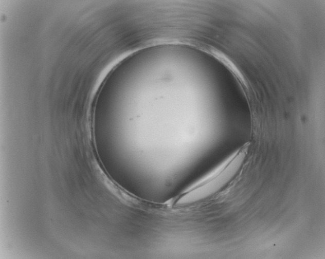 X0000074331148200609152050