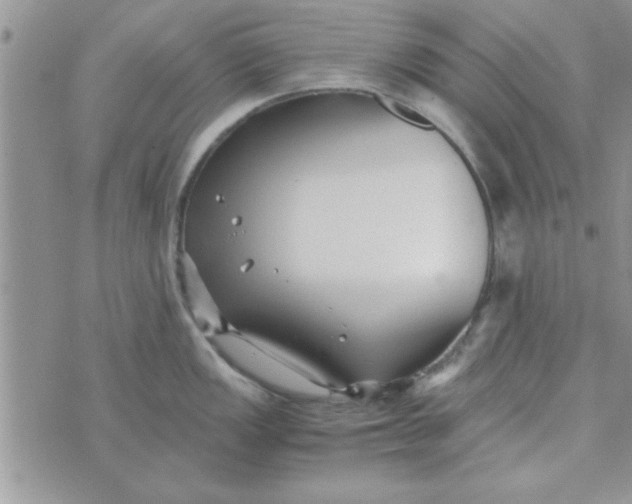 X0000074331149200609152050