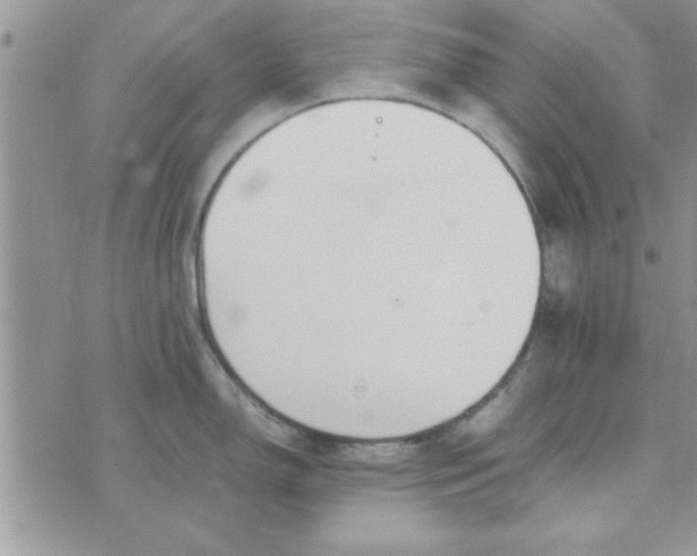 X0000074331150200609152050