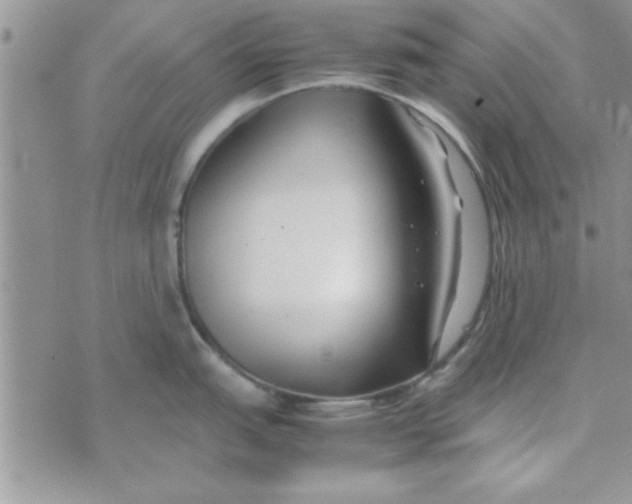 X0000074331151200609152050