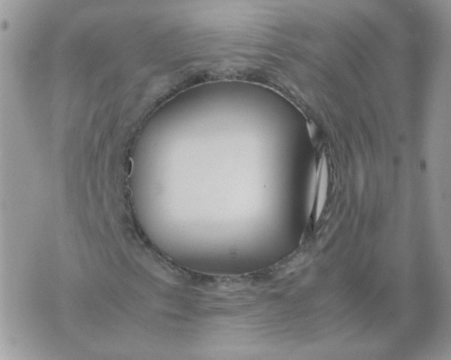 X0000074331153200609152050