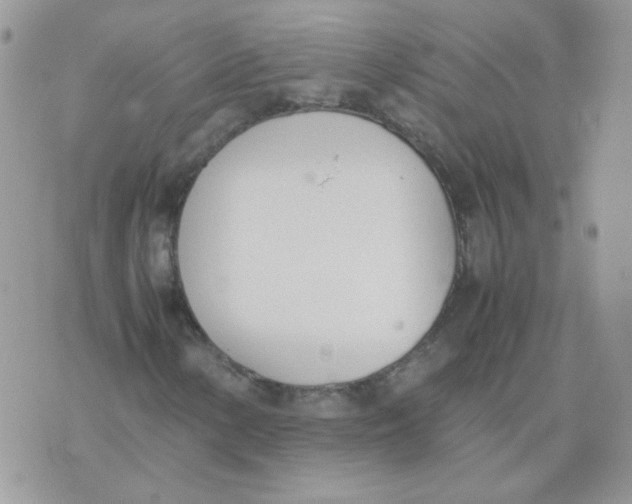 X0000074331154200609152050