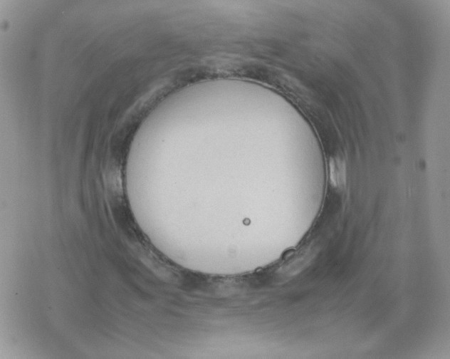 X0000074331155200609152050