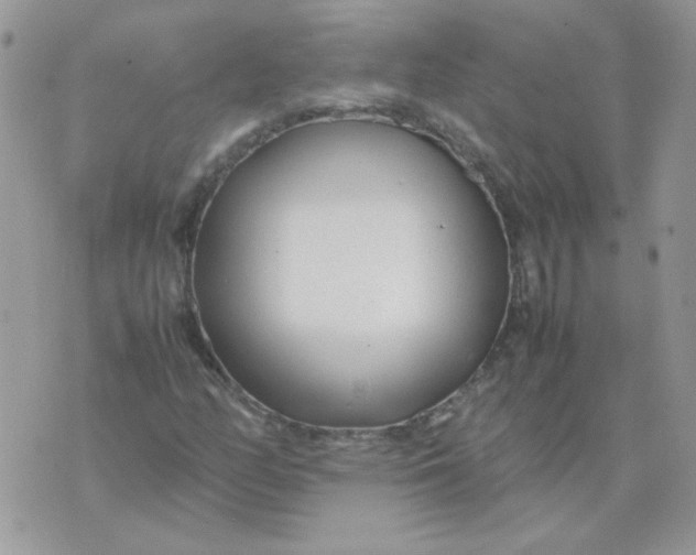 X0000074331158200609152050