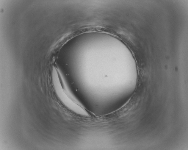 X0000074331159200609152050