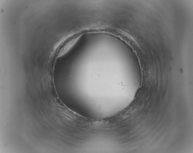 X0000074331160200609152050