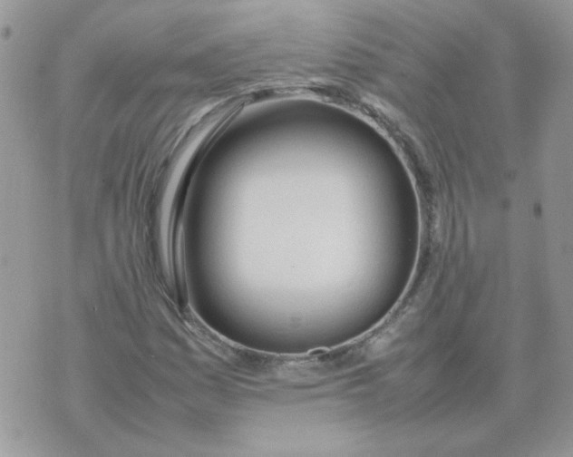 X0000074331161200609152050