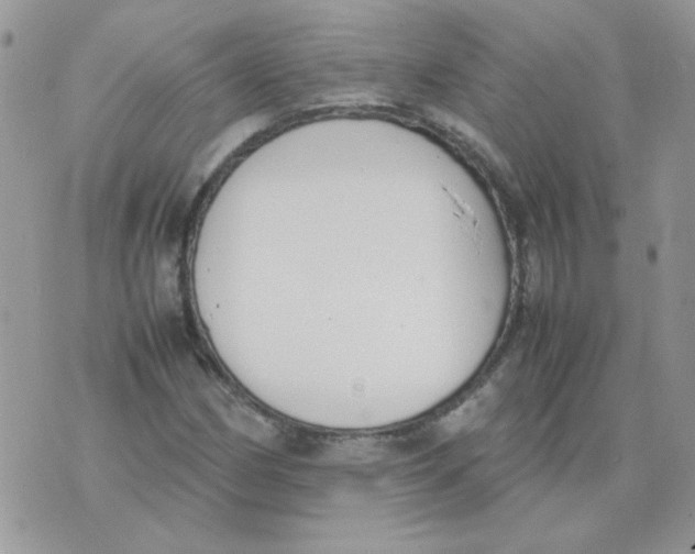 X0000074331162200609152050