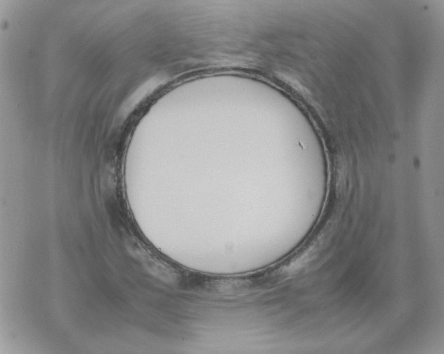 X0000074331163200609152050