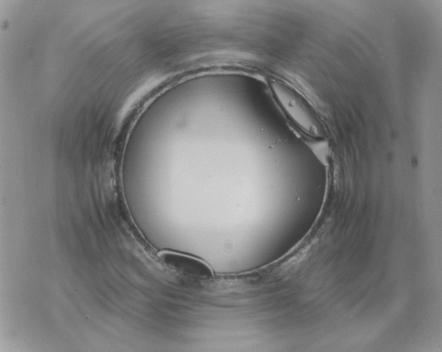 X0000074331164200609152050