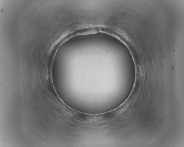 X0000074331165200609152050