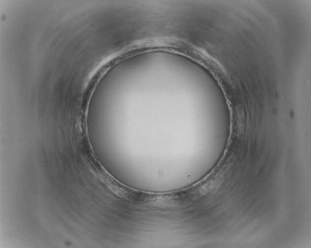 X0000074331166200609152049