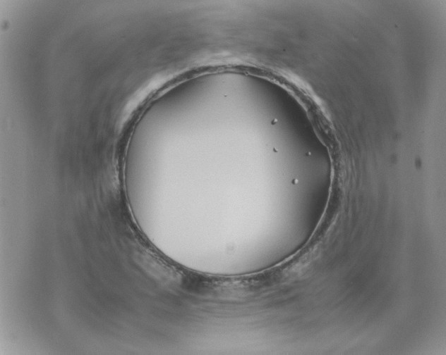 X0000074331167200609152049