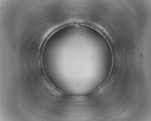 X0000074331168200609152049