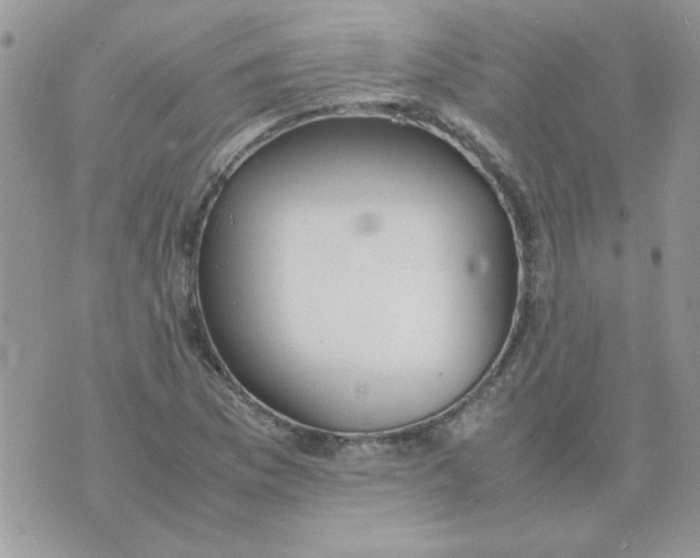 X0000074331169200609152049