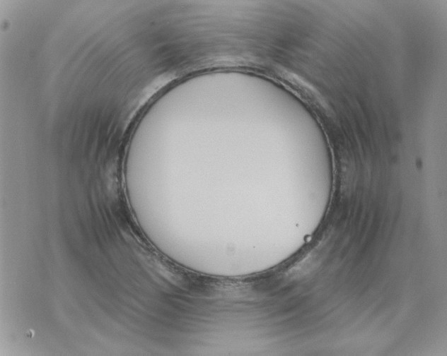 X0000074331170200609152049