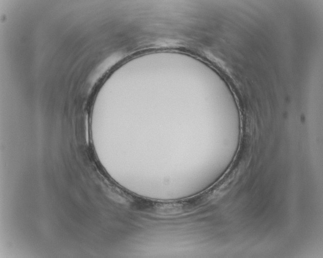 X0000074331171200609152049