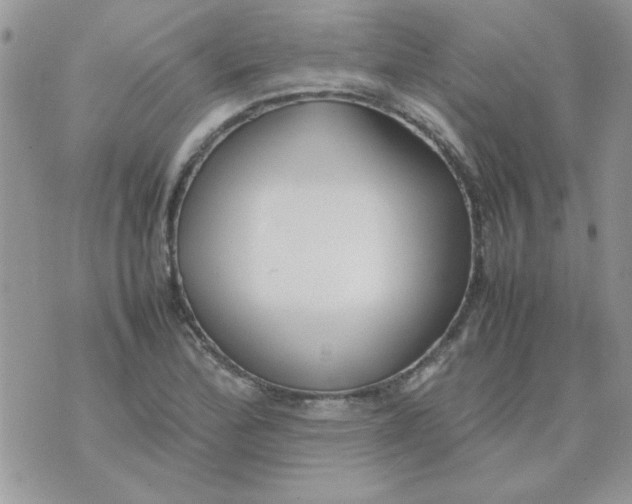 X0000074331172200609152049