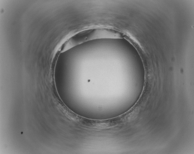 X0000074331173200609152049