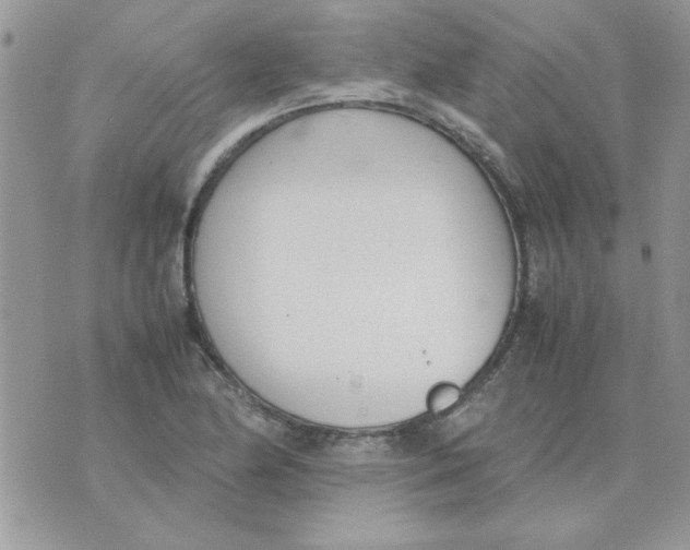 X0000074331174200609152049