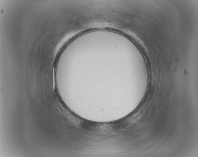 X0000074331175200609152049