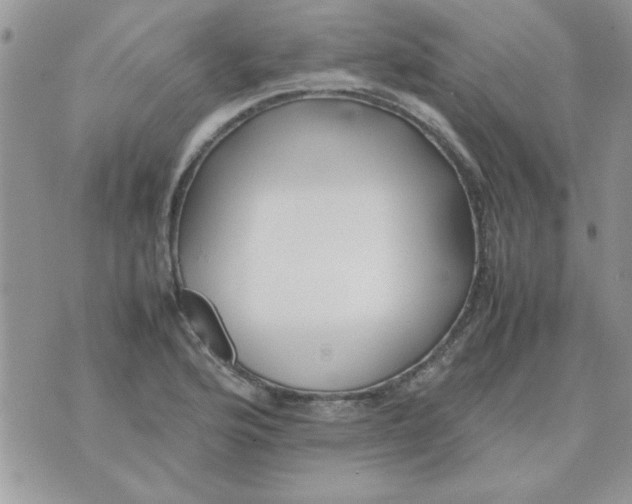 X0000074331176200609152049