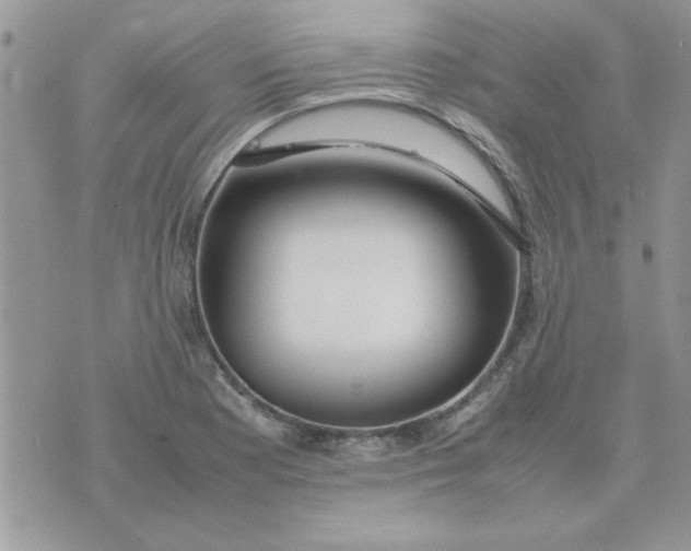 X0000074331177200609152049