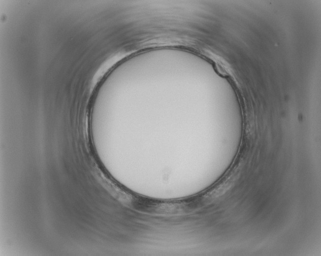 X0000074331179200609152049