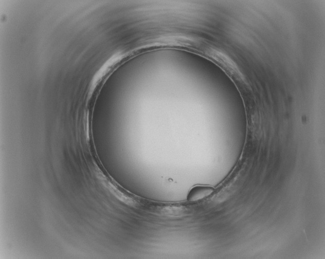 X0000074331180200609152049