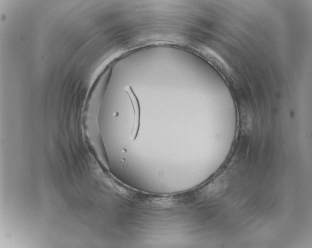 X0000074331182200609152049