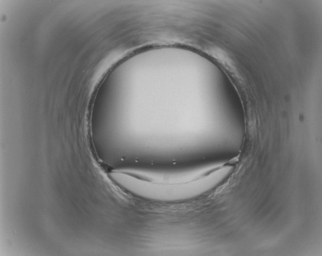 X0000074331183200609152049