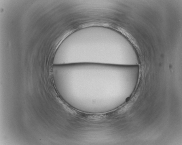 X0000074331185200609152049