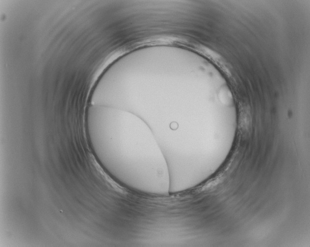 X0000074331186200609152049