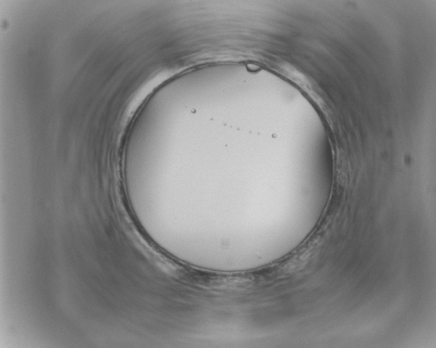 X0000074331187200609152049