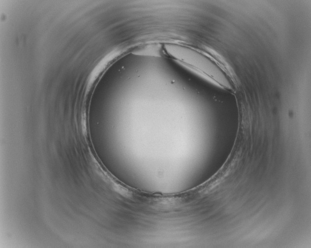 X0000074331188200609152049