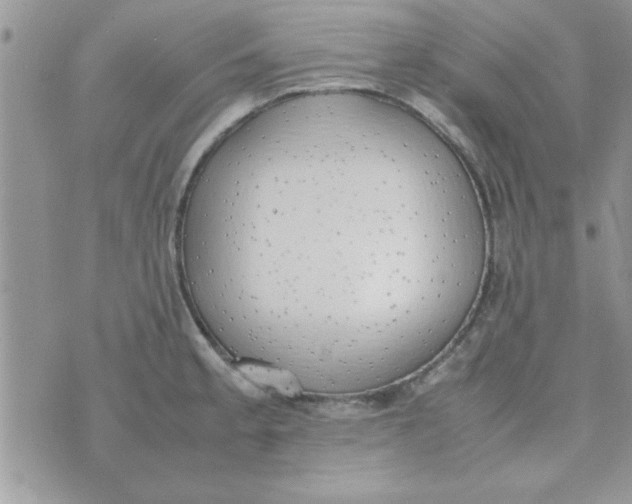 X0000074331189200609152049