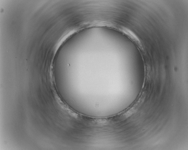 X0000074331190200609152049