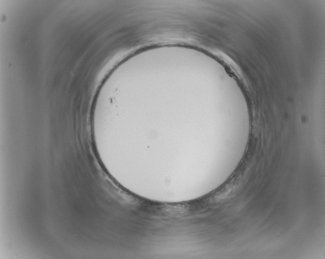 X0000074331191200609152049