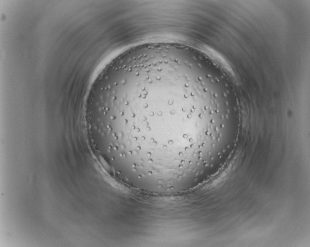 X0000074331192200609152049