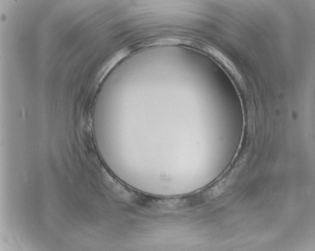 X0000074331193200609152049