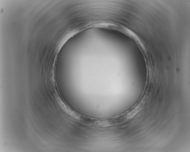 X0000074331194200609152049