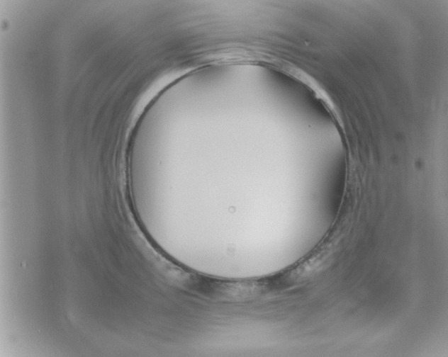 X0000074331195200609152049