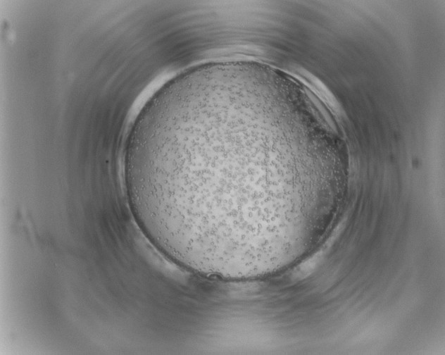 X0000074331196200609152049